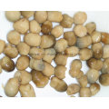 Canned Straw Mushroom From China